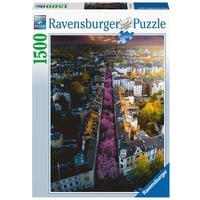 4005556171040 - Ravensburger Puzzle - Blühendes Bonn - 1500 Teile