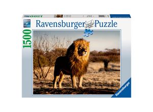 4005556171071 - Ravensburger Puzzle - Der Löwe Der König der Tiere (Puzzle)