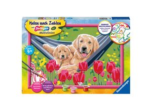 4005556201648 - Malen nach Zahlen RAVENSBURGER Kuschelpause Malvorlagen bunt Kinder Basteln Malen Kosmetik Schmuck Made in Europe FSC - schützt Wald weltweit