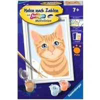 4005556237562 - Malen nach Zahlen - Niedliche Katze