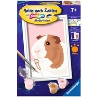 4005556237586 - Malen nach Zahlen - Niedliches Meerschweinchen