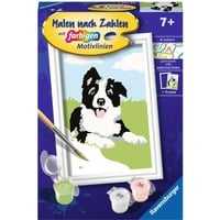 4005556237593 - Malen nach Zahlen - Border Collie Welpe