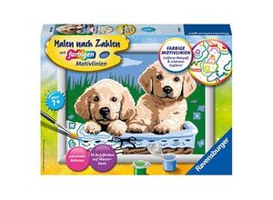 4005556278398 - Mal-Set MALEN NACH ZAHLEN SERIE E – SÜßE HUNDEWELPEN 13-teilig