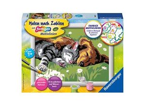 4005556280155 - Malen nach Zahlen RAVENSBURGER Tiefer Schlaf bunt Malvorlagen KinderB18cm H13cm Made in Europe B18cm H13cm