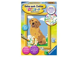 4005556285112 - Malen nach Zahlen - Jeder kann malen (Mal-Sets) Bildgröße 85 x 12 cm Malen nach Zahlen 28511 - Kleiner Golden Retriever- Kinder ab 7