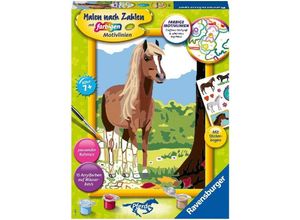 4005556285150 - Malen nach Zahlen - Jeder kann malen (Mal-Sets) Bildgröße 18 x 24 cm Ravensburger Malen nach Zahlen 28515 - Pferdeglück - Kinder ab 7 Jahren