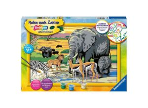 4005556287666 - Ravensburger Malen nach Zahlen 28766 - Tiere in Afrika - Kinder ab 9 Jahren