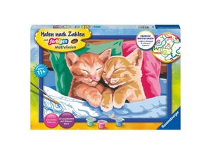 4005556289868 - Ravensburger Malen nach Zahlen 28986 - Verschmuste Kätzchen - Kinder ab 11 Jahren