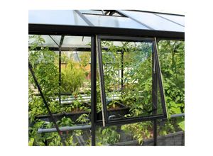 4005717135119 - Seitenfenster z für Gewächshäuser aluminium eloxiert 3 mm esg - Vitavia