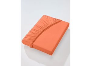 4005774772838 - Betttuch BIBERNA WITT-PBK-Bettlaken-temporär Gr B L 140-160 cm x 200-220 cm 1 St orange (terrakotta) Betttücher