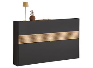 4005949304659 - Hängeschuhschrank  Graphit Eiche  Metall  140x83x18 cm  Made in Germany  Beimöbel erhältlich hängend  Garderobe Schuhaufbewahrung