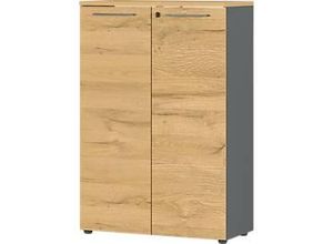 4005949423206 - GERMANIA Aktenschrank Agenda Home 4232-564 grafit grandson-eiche 2 Fachböden 800 x 400 x 1200 cm