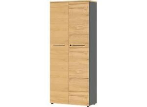 4005949423701 - GERMANIA Aktenschrank Agenda Home 4237-564 grafit grandson-eiche 4 Fachböden 800 x 400 x 1970 cm