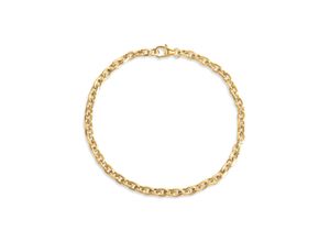 4006046367677 - Goldarmband FIRETTI Schmuck Geschenk Gold 333 Armband Ankerkette Armbänder Gr 21 Gelbgold 333 gelb (gelbgoldfarben) Damen Armbänder Gold zu Hoodie Kleid Shirt Jeans Sneaker Anlass Geburtstag Weihnachten