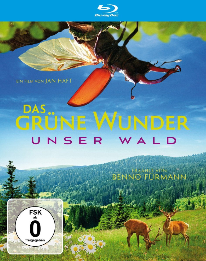 4006448361341 - Das Grüne Wunder - Unser Wald