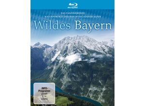 4006448361372 - Wildes Bayern (Blu-ray)