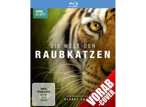 4006448365264 - Die Welt der Raubkatzen (Blu-ray)