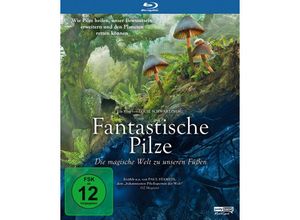 4006448366544 - Fantastische Pilze - Die magische Welt zu unseren Füßen (Blu-ray)