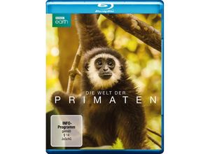 4006448366629 - Die Welt Der Primaten (Blu-ray)