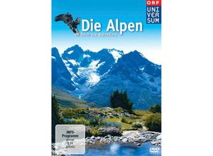 4006448758066 - Die Alpen - Im Reich des Steinadlers (DVD)