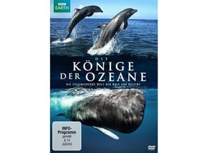 4006448760632 - Die Könige der Ozeane (DVD)