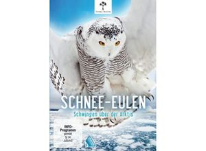 4006448761158 - Schnee-Eulen - Schwingen über der Arktis (DVD)