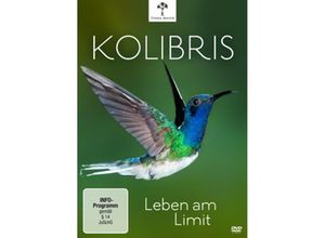 4006448761684 - Kolibris - Leben am Limit (DVD)