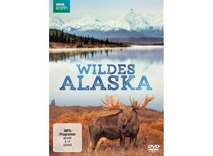 4006448764845 - Wildes Alaska (DVD)