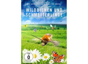 4006448767259 - Kinder der Sonne - Unsere Schmetterlinge   Biene Majas wilde Schwestern (DVD)