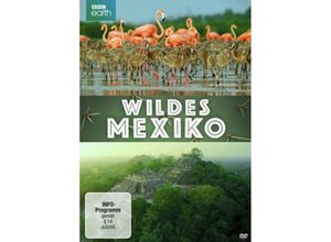 4006448768447 - Wildes Mexiko (DVD)