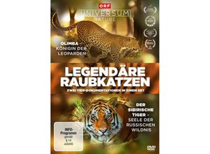 4006448771294 - Leopard Legacy   Der sibirische Tiger - Seele der russischen Wildnis (DVD)