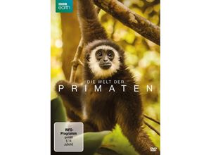 4006448771447 - Die Welt Der Primaten (DVD)