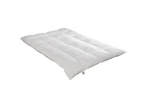 4006474351224 - Badenia Irisette - irisette Kassetten-Daunendecke Nora extra warm mit 5 cm Außensteg Größe 135x200 cm Winterdecke