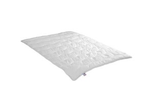 4006474358032 - IRISETTE Hohlfaser Steppbett Jette Mono 155x220 cm Ganzjahresdecke