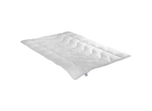 4006474358247 - Badenia Irisette - irisette Hohlfaser Steppbett Lotte Mono 135x200 cm Ganzjahresdecke