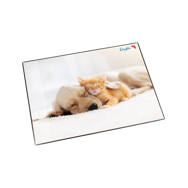 4006677466572 - Schreibunterlage Hund und Katze - 53 x 40 cm 4006677466572 LAeUFER