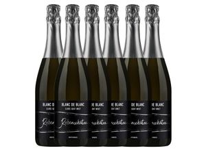 4006840908557 - Rebenschätze Blanc de Blanc Cuvée Sekt b A brut 075L 6er Karton