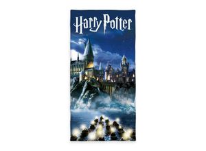 4006891971258 - Harry Potter Velourstuch