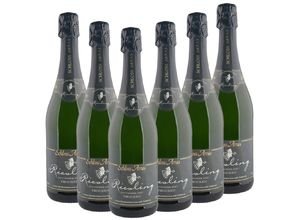 4006921505149 - Schloss Arras Riesling Sekt trocken 075l - 6er Karton