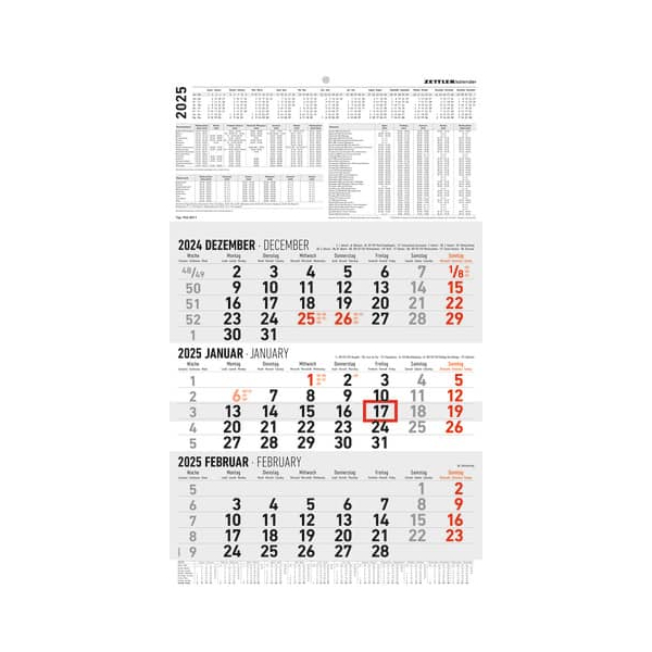 4006928026081 - Dreimonatskalender 602371 3 Monate   1 Seite 30x487cm 2025 4006928026081 ALPHA EDITION