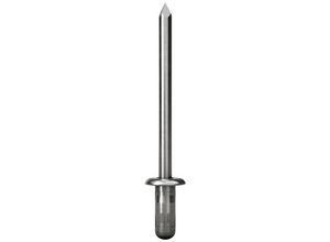 4007081092463 - Blindniete PolyBulb 250 Stück Alu Edelstahl A2 48x16 mm Flachrundkopf - Gesipa