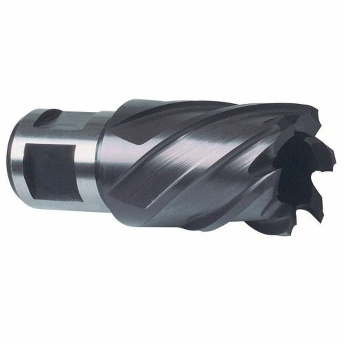 4007140073457 - Kernbohrer Nenn-Ø 20 mm hss TiAlN-beschichtet Schnitttiefe 30 mm Weldon - Ruko 4007140073457 - Kernbohrer Nenn-Ø 20 mm hss TiAlN-beschichtet Schnitttiefe 30 mm Weldon - Ruko