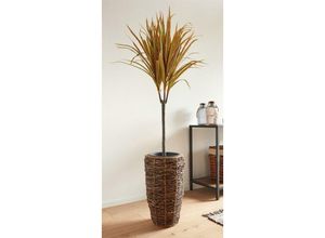 4007299525999 - künstliche Palme Drachenbaum 95 cm hoch Kunstpflanze Zierpflanze