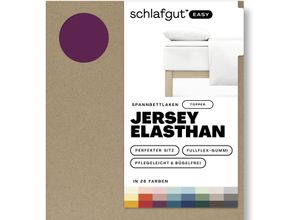 4007399480044 - Spannbettlaken SCHLAFGUT EASY Jersey Elasthan Topper Laken Gr B L 180-200 cm x 200-220 cm 1 St Jersey 180-200 x 200-220 cm 10 cm lila (purple deep) MADE IN GREEN by OEKO-TEX