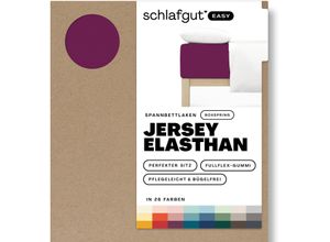 4007399481089 - Spannbettlaken SCHLAFGUT EASY Jersey Elasthan Boxspring Laken Gr B L 180-200 cm x 200-220 cm 1 St Jersey 180-200 x 200-220 cm 40 cm lila (purple deep) MADE IN GREEN by OEKO-TEX