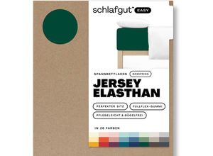 4007399481171 - Spannbettlaken SCHLAFGUT EASY Jersey Elasthan Boxspring Laken Gr B L 180-200 cm x 200-220 cm 1 St Jersey 180-200 x 200-220 cm 40 cm grün (green deep) MADE IN GREEN by OEKO-TEX