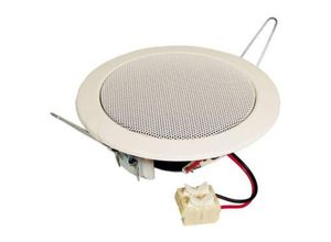 4007540501109 - DL 10 8 OHM - speaker - Lautsprecher-Driver - Weiß