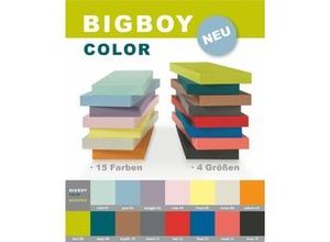 4007557026510 - Dolle Regalboden Big Boy 57 x 25 cm 50 mm grau Regalboden