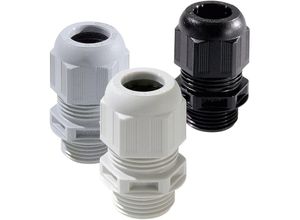 4007685663922 - 10066392 Kabelverschraubung M20 Polyamid Lichtgrau (ral 7035) 50 St - Wiska