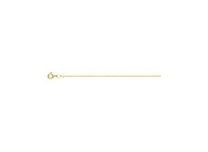 4007810169329 - Gliederkette LADY Halsketten Gr N-Größe Metall-Gold Länge 60 cm goldfarben (gelbgold 375) Damen Gliederketten